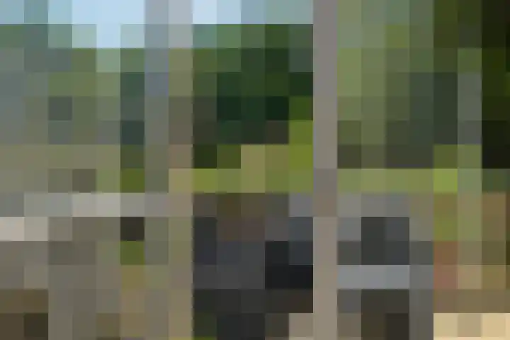 Sportlaan 1114 Den Haag thumbnail 24