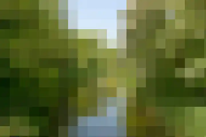 Sportlaan 1114 Den Haag thumbnail 33