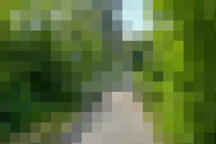 Sportlaan 1114 Den Haag thumbnail 34