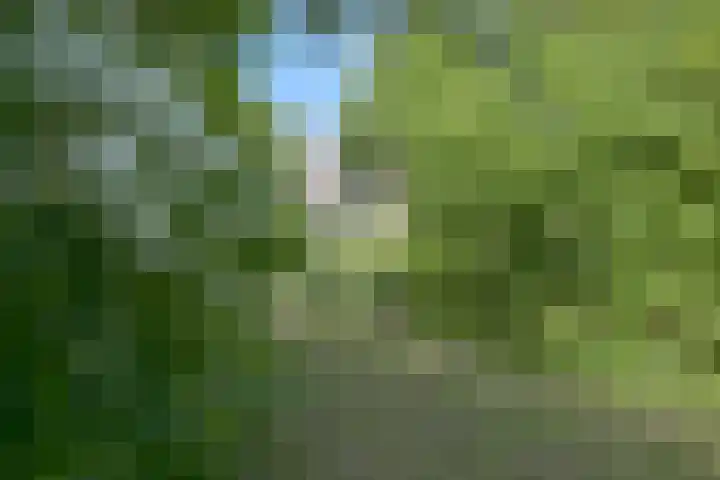 Sportlaan 1114 Den Haag thumbnail 36
