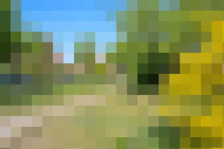 Sportlaan 1114 Den Haag thumbnail 37