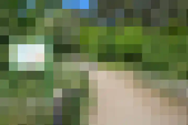 Sportlaan 1114 Den Haag thumbnail 38