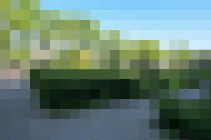 Sportlaan 1114 Den Haag thumbnail 5