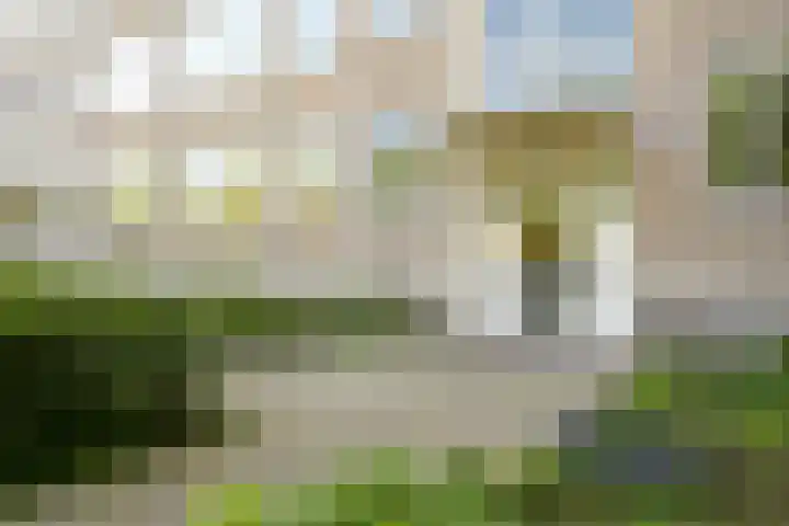 Sportlaan 1114 Den Haag thumbnail 6