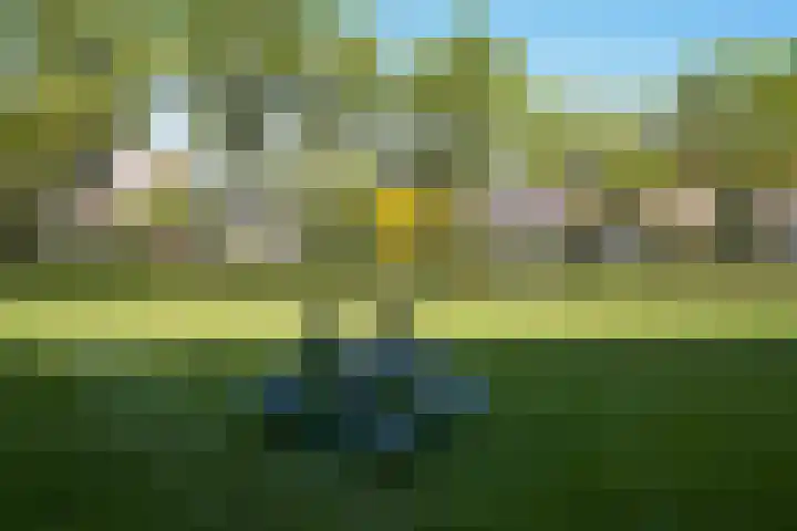 Sportlaan 1114 Den Haag thumbnail 7