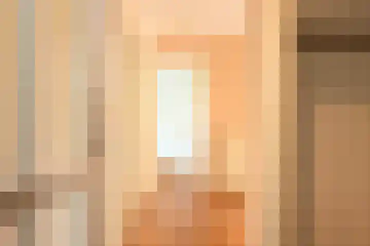 Sportlaan 1114 Den Haag thumbnail 8