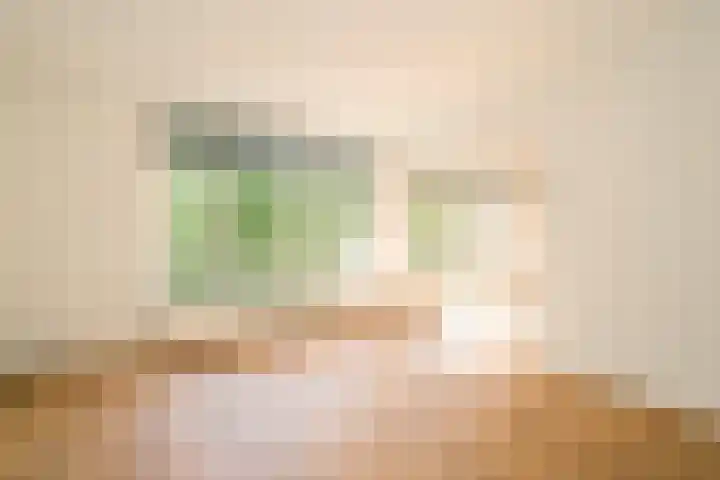 Sportlaan 1136 Den Haag thumbnail 11