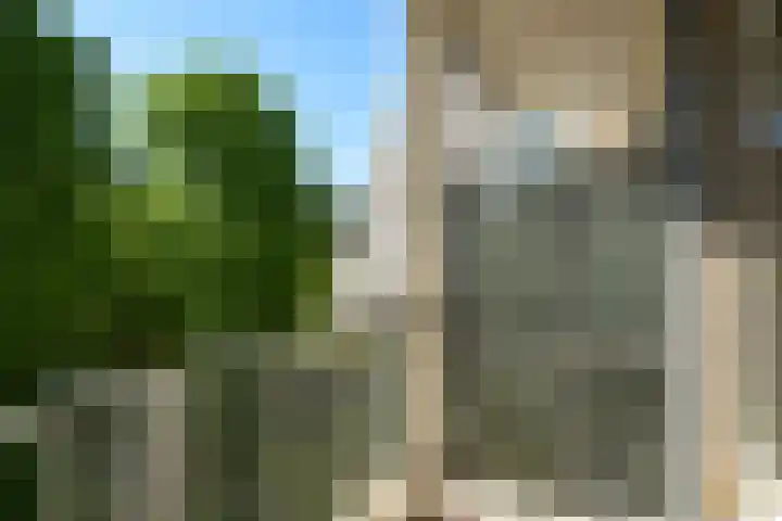 Sportlaan 1136 Den Haag thumbnail 26
