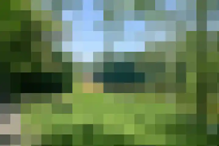 Sportlaan 1136 Den Haag thumbnail 34