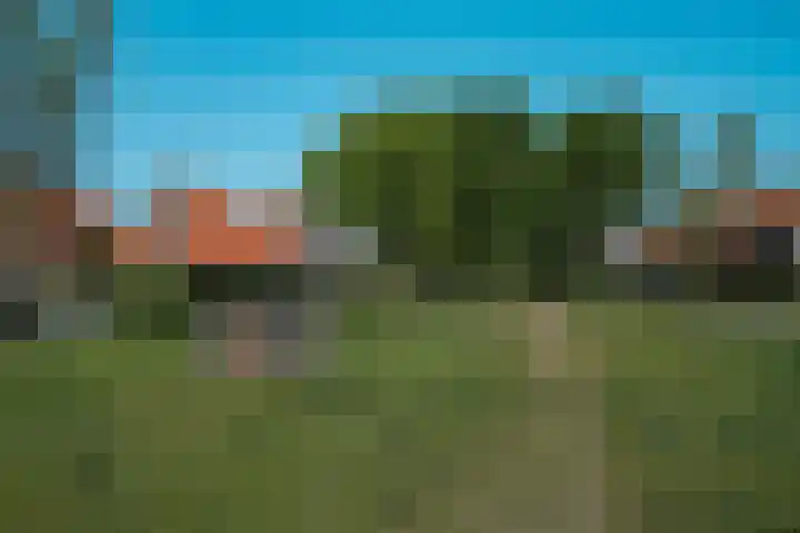 Sportlaan 1136 Den Haag thumbnail 36