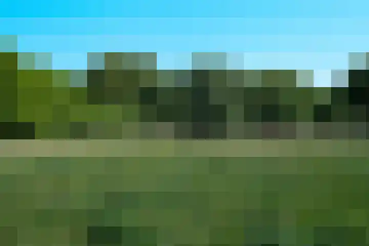 Sportlaan 1136 Den Haag thumbnail 38