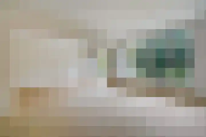 Sportlaan 1142 Den Haag thumbnail 13
