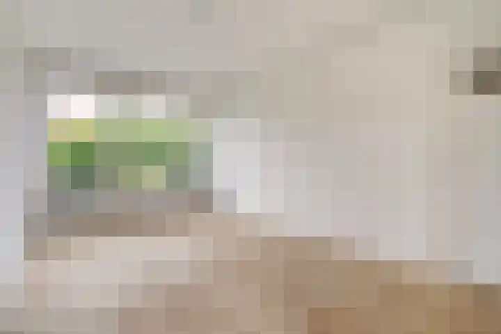 Sportlaan 1142 Den Haag thumbnail 17