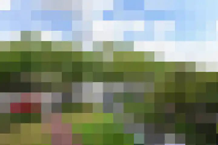 Sportlaan 1142 Den Haag thumbnail 18