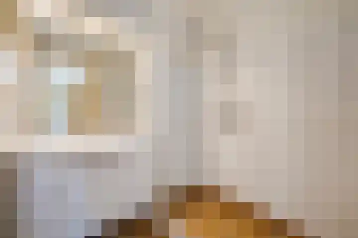 Sportlaan 1142 Den Haag thumbnail 20