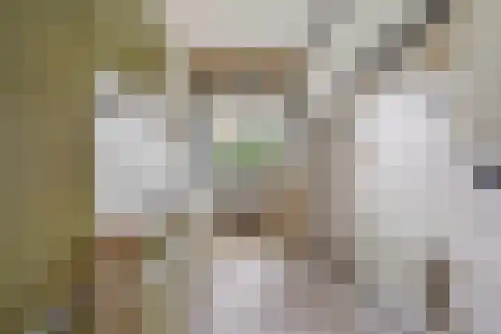 Sportlaan 1142 Den Haag thumbnail 21