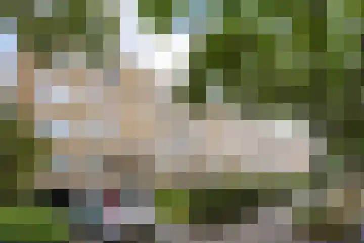 Sportlaan 1142 Den Haag thumbnail 29