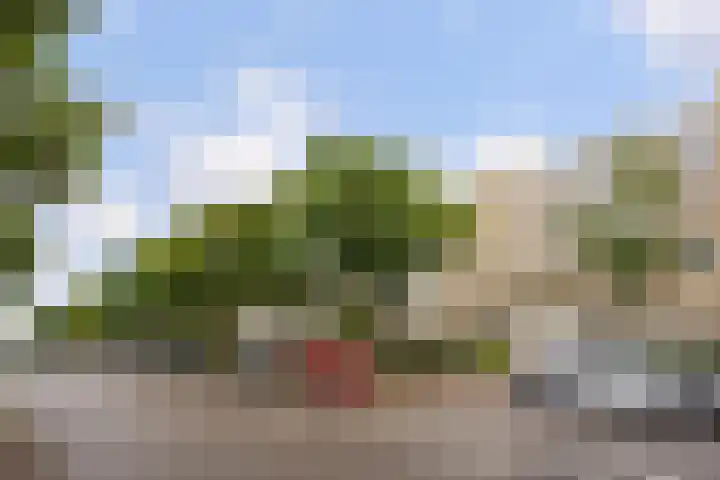 Sportlaan 1142 Den Haag thumbnail 31