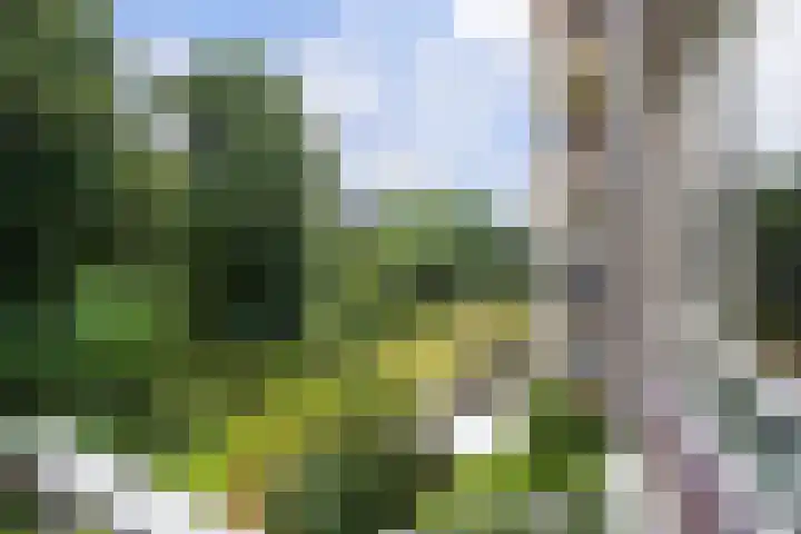 Sportlaan 1142 Den Haag thumbnail 4