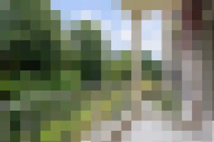Sportlaan 1142 Den Haag thumbnail 8