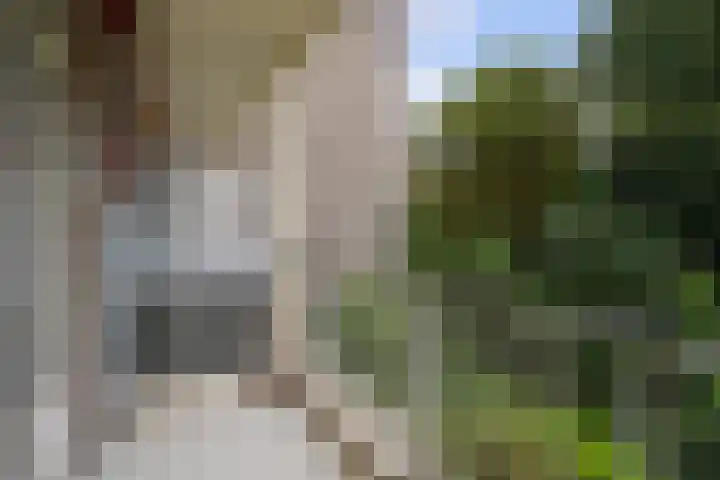 Sportlaan 1142 Den Haag thumbnail 9