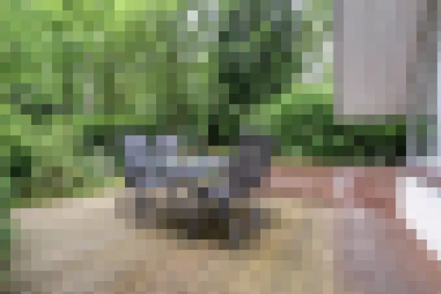 Sportlaan 117 Bergentheim thumbnail 29