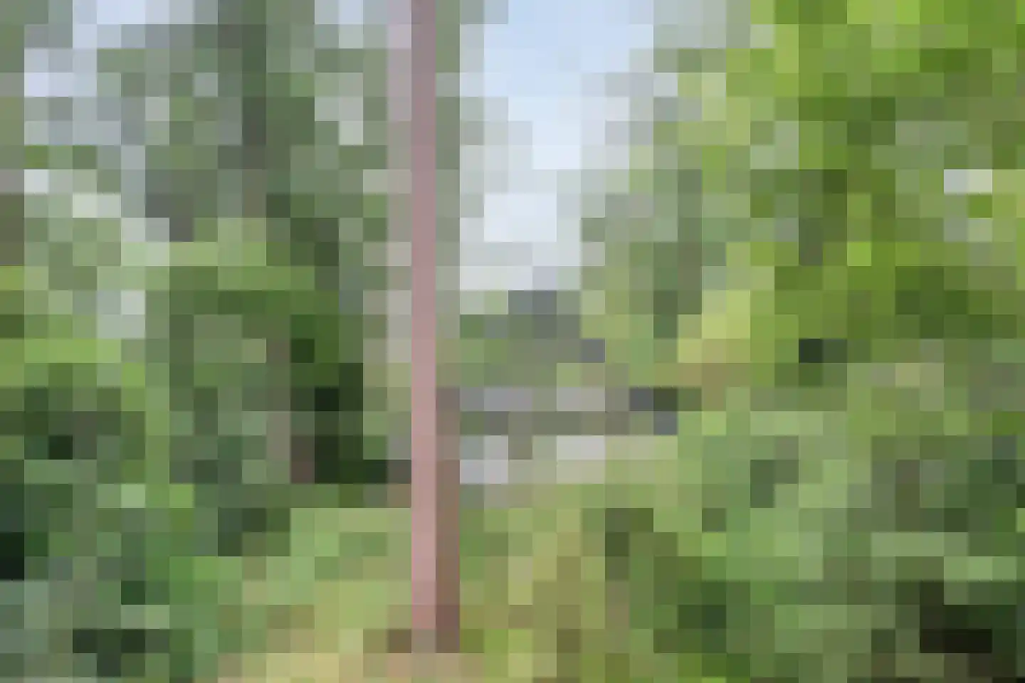 Sportlaan 117 Bergentheim thumbnail 36