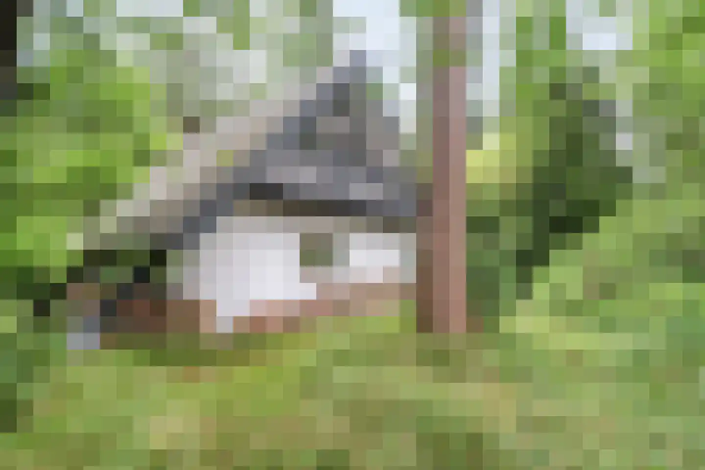 Sportlaan 117 Bergentheim thumbnail 4
