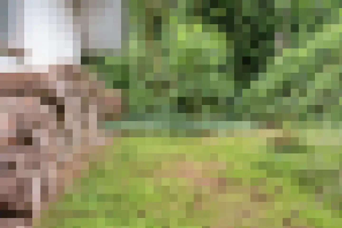 Sportlaan 117 Bergentheim thumbnail 8