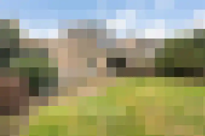 Sportlaan 12 Bemmel thumbnail 15