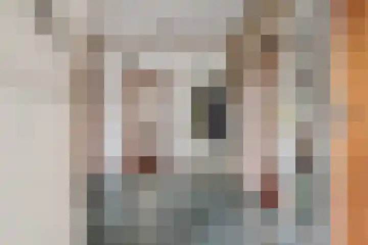Sportlaan 12 Bemmel thumbnail 17