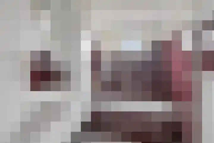 Sportlaan 12 Bemmel thumbnail 25