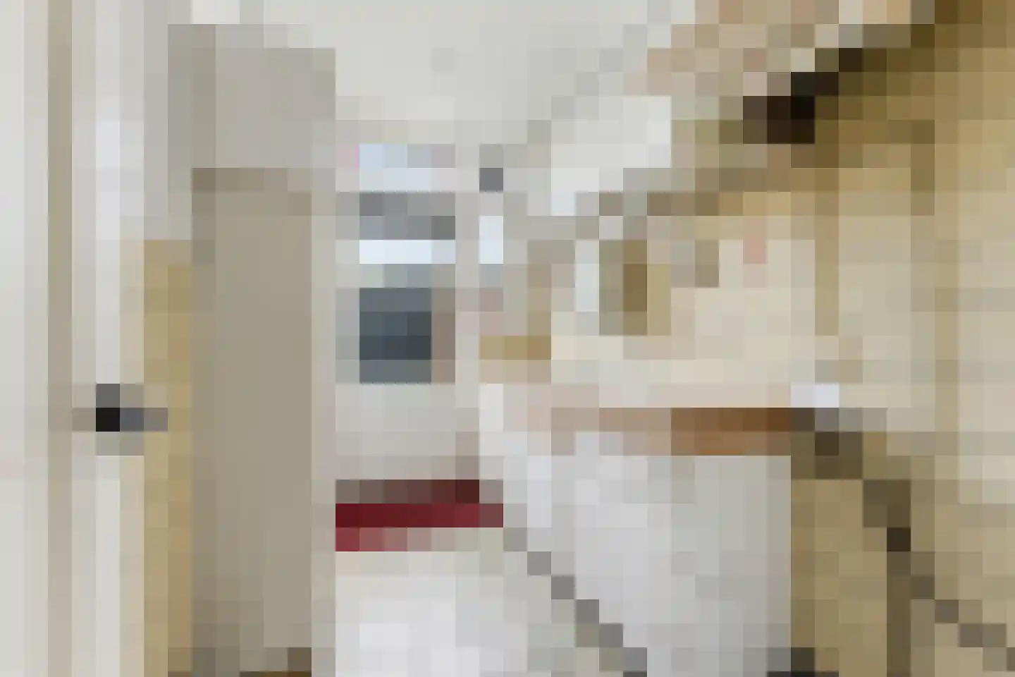 Sportlaan 12 Vlaardingen thumbnail 15