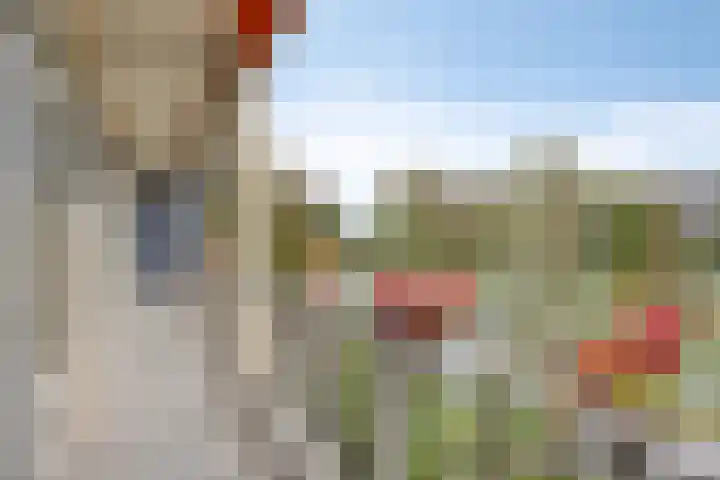 Sportlaan 1242 Den Haag thumbnail 19