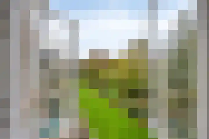 Sportlaan 1242 Den Haag thumbnail 31