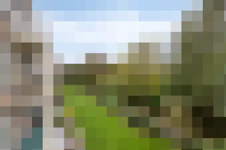 Sportlaan 1242 Den Haag thumbnail 32