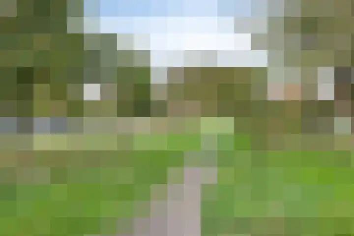 Sportlaan 1242 Den Haag thumbnail 33