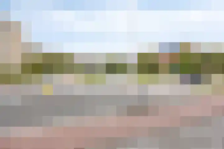 Sportlaan 1242 Den Haag thumbnail 35