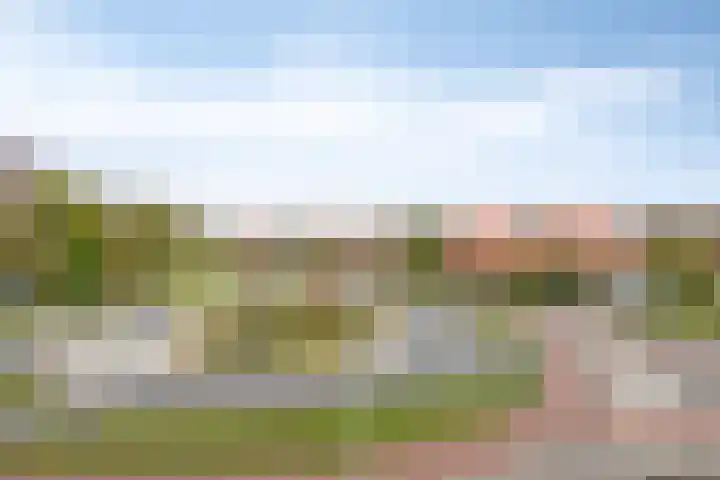 Sportlaan 1242 Den Haag thumbnail 5