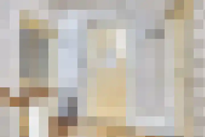 Sportlaan 1242 Den Haag thumbnail 6