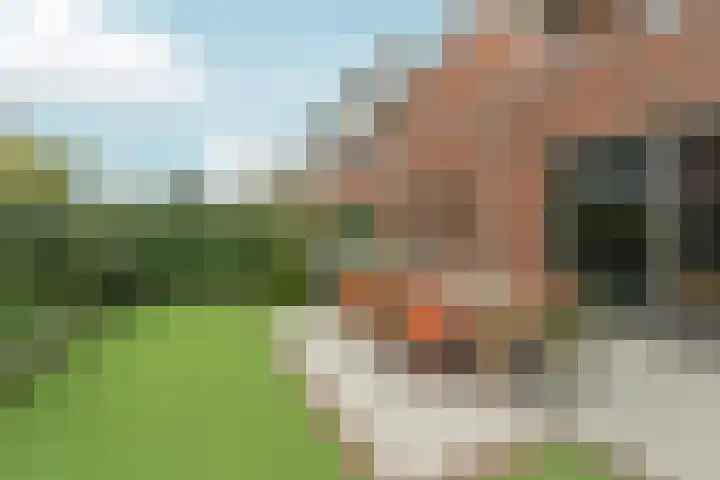Sportlaan 127 B Den Haag thumbnail 23