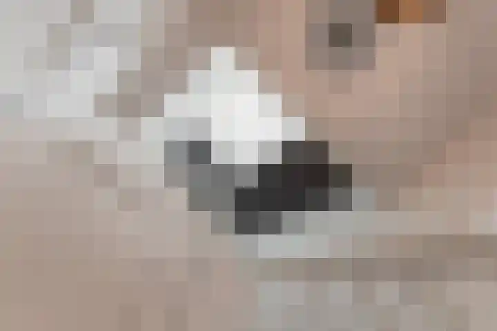 Sportlaan 127 B Den Haag thumbnail 31