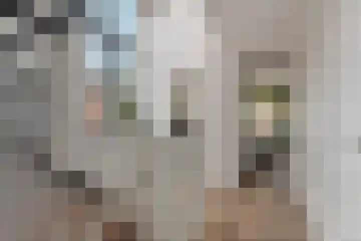 Sportlaan 127 B Den Haag thumbnail 32