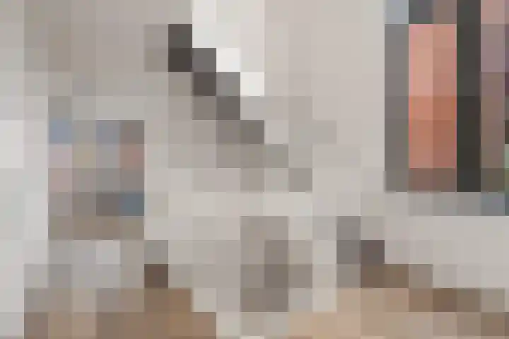 Sportlaan 127 B Den Haag thumbnail 38