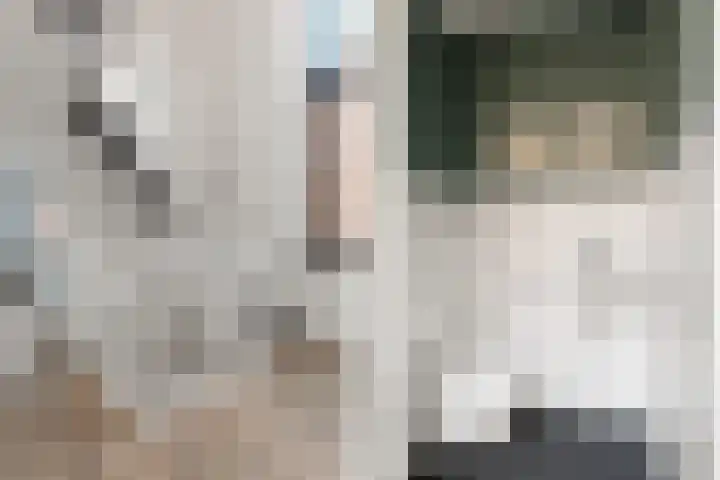 Sportlaan 127 B Den Haag thumbnail 44
