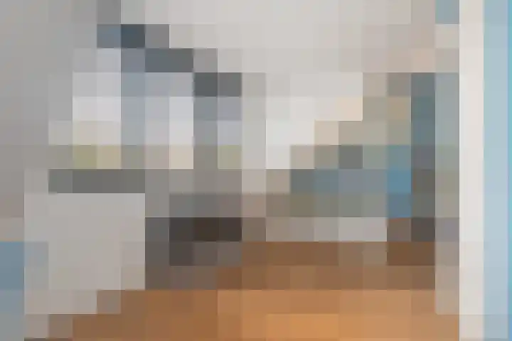 Sportlaan 127 B Den Haag thumbnail 50
