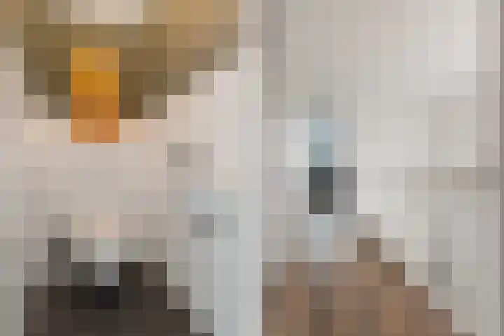 Sportlaan 127 B Den Haag thumbnail 51