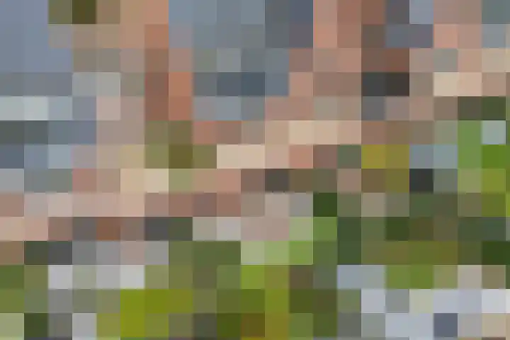 Sportlaan 127 B Den Haag thumbnail 57
