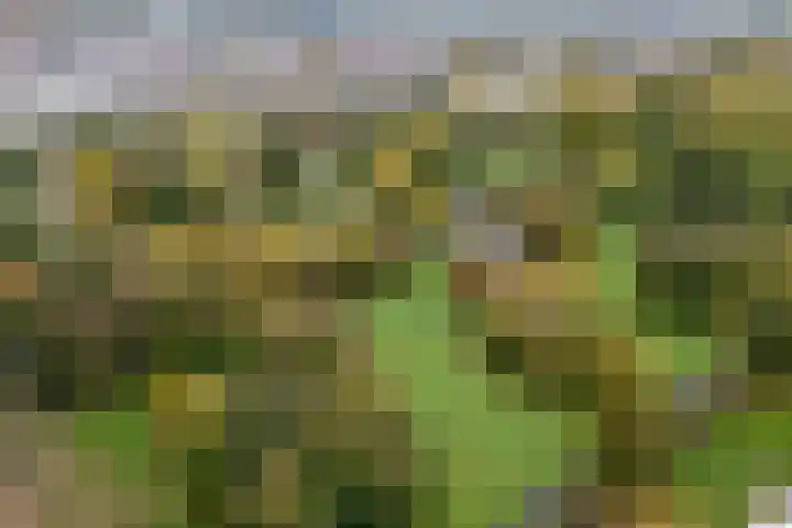 Sportlaan 127 B Den Haag thumbnail 59