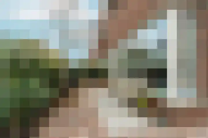 Sportlaan 127 B Den Haag thumbnail 7